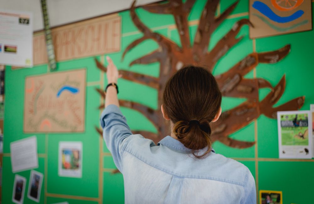 Naturpark Schulen 1 (c) Nixxpixx.com